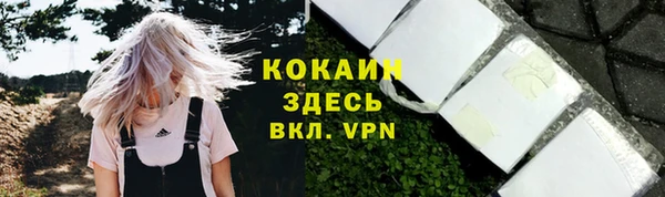 СК Корсаков