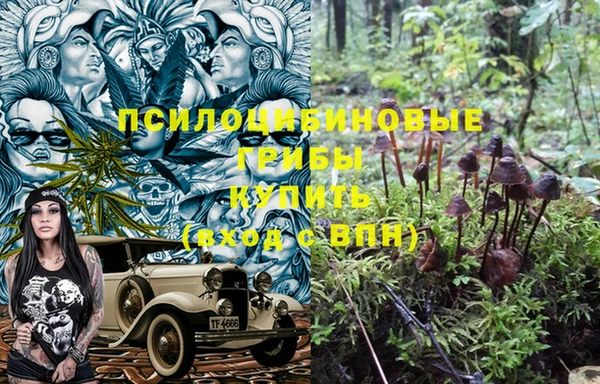 крисы Коряжма