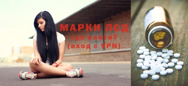 крисы Коряжма