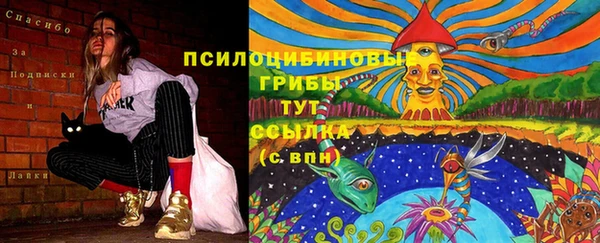 СК Корсаков