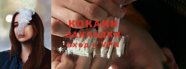крисы Коряжма
