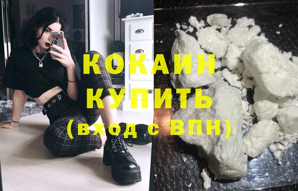 крисы Коряжма