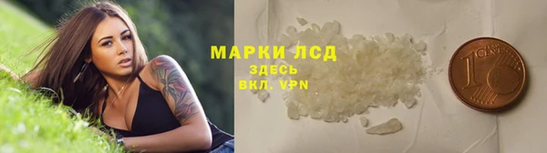СК Корсаков