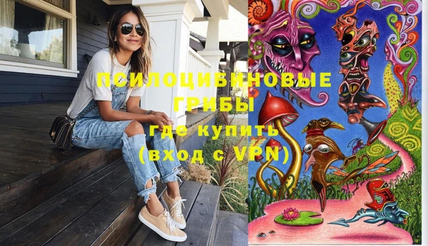 крисы Коряжма