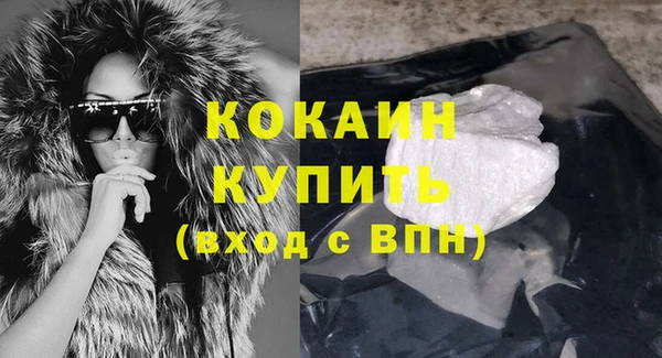 крисы Коряжма
