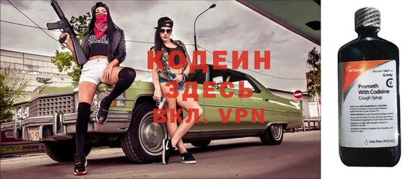 крисы Коряжма