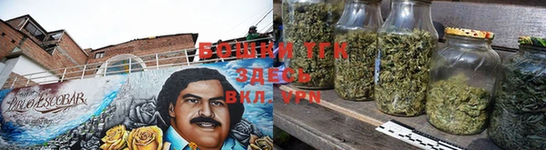 крисы Коряжма