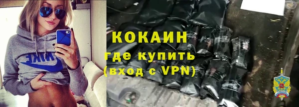 крисы Коряжма