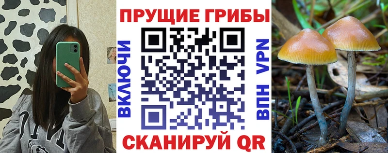 Галлюциногенные грибы ЛСД Мантурово