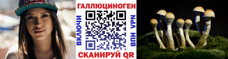 Купить  Мантурово  Галлюциногенные грибы GOLDEN TEACHER 